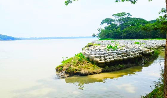 বর্ষার শুরুতেই  বাবুগঞ্জে সন্ধ্যা-সুগন্ধা-আড়িয়াল খাঁর ভাঙন