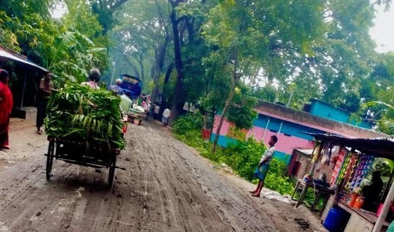 শৈলকুপায় সামান্য বৃষ্টিতেই রাস্তায় কাঁদা, তৈরী হয়েছে মৃত্যু ফাঁদ