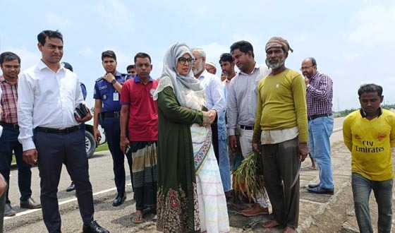 কিশোরগঞ্জে ক্ষতিগ্রস্ত ফসলি জমি পরিদর্শন করলেন জেলা প্রশাসক
