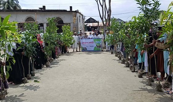 তালতলীতে শিক্ষার্থীদের মাঝে গাছের চারা বিতরণ