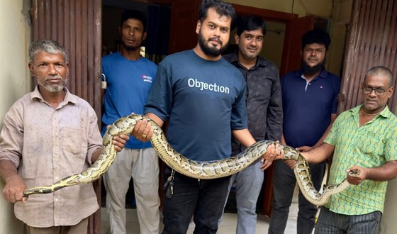 শ্রীমঙ্গলে বসতবাড়ি থেকে ১০ ফুট লম্বা অজগর উদ্ধার