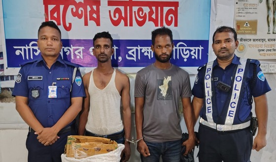 নাসিরনগরে ট্যাপেন্টাডল ট্যাবলেট ও পিকআপসহ ২ মাদক কারবারি গ্রেফতার