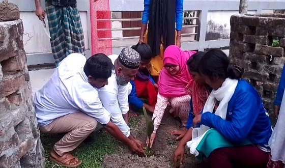 বজ্রপাতের ঝুকি কমাতে দেড় শতাধিক তাল গাছের চারা রোপণ