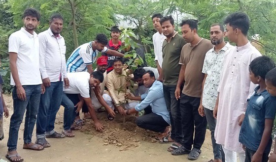 সিংড়ায় জুলাই শহীদ স্মরণে ৫ শতাধিক চারা বিতরণ
