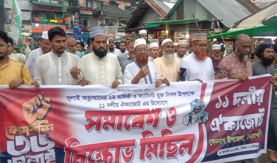 সেনবাগে ১১ দলীয় জোটের সমাবেশ ও বিক্ষোভ মিছিল