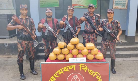 গাংনী সীমান্তে ১৬ কেজি ভারতীয় গাঁজা উদ্ধার