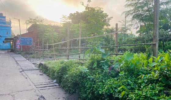 ঝিকরগাছায় সরকারি জমি দখল করে নিলেন বিএনপি নেতা, মামলা
