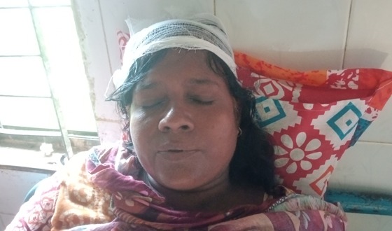 মোল্লাহাটে বাবুর্চির স্ত্রীকে বর্বরোচিত হামলার অভিযোগ, স্বামীও মারধরের শিকার