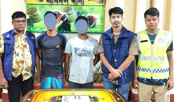 শ্রীমঙ্গলে ৯৫ পিস ইয়াবাসহ দুই যুবক গ্রেফতার