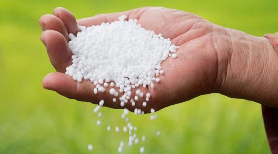 সার নিয়ে দিশেহারা কৃষক