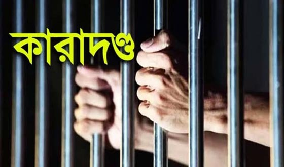 শেরপুরে মাদক সেবনের দায়ে দুইজনের কারাদণ্ড