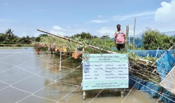 দেবহাটায় অপসিজন তরমুজ চাষে বেকারত্ব দূর, হচ্ছে স্বাবলম্বী