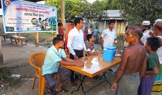 শেরপুরে গবাদি পশুর লাম্পি স্কিন প্রতিরোধে টিকাদান কার্যক্রম অনুষ্ঠিত