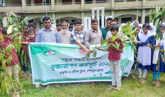 নালিতাবাড়ীতে প্রকৃতি ও জীবন ক্লাবের বৃক্ষরোপন-গাছের চারা বিতরণ