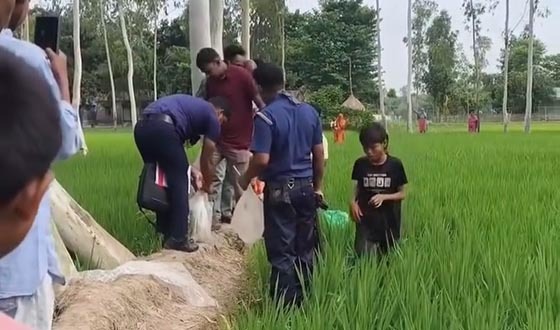 নাগেশ্বরীতে ধান ক্ষেত মিললো মানুষের খণ্ডিত পা