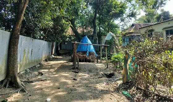 গজারিয়ায় আদালতের রায় অমান্য করে জমি দখলের চেষ্টা