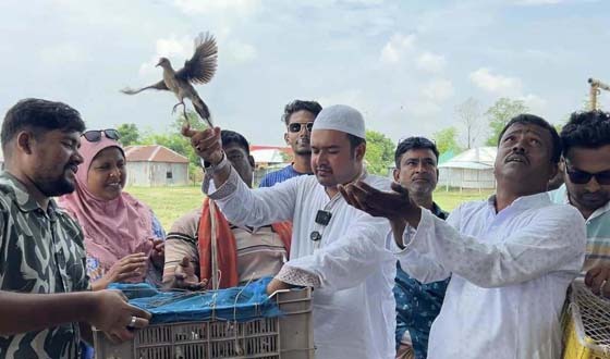 বাঘায় পদ্মার চরে ৩ শতাধিক পাখি অবমুক্ত করেন ছাত্রদল নেতা