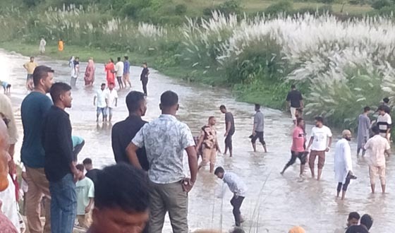 কাশফুলের টানে শ্রীমঙ্গলে দর্শনার্থীদের ভিড়