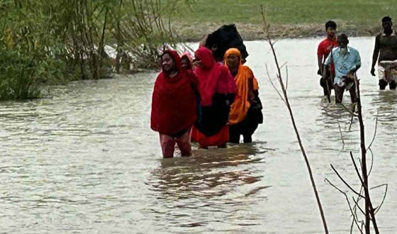 বাঘায় পদ্মার চরে কাজ শেষে পানির মধ্যে ঝুকি নিয়ে বাড়ি ফিরছেন মানুষ