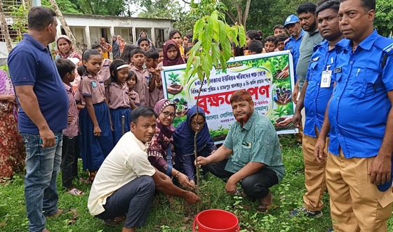 সাতক্ষীরার কেরালকাতা ইউনিয়নে গাছের চারা বিতরণ ও রোপণ উৎসব