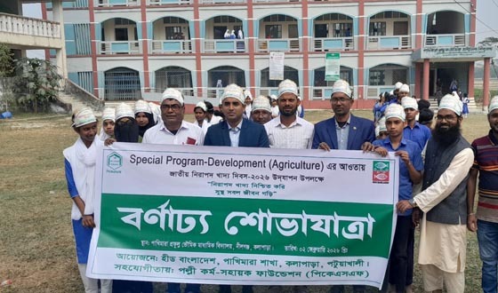 কলাপাড়ায় জাতীয় নিরাপদ খাদ্য দিবস