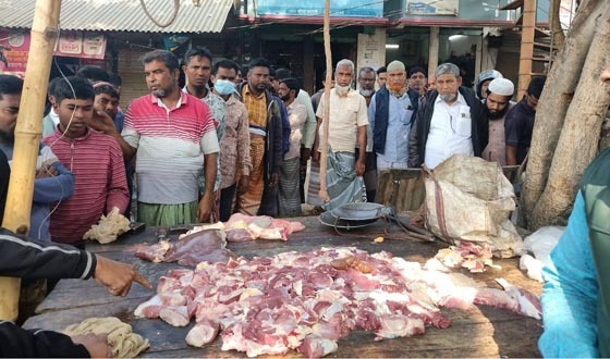 পোরশায় অসুস্থ গরুর মাংস বিক্রি করায় ব্যবসায়ীকে জরিমানা