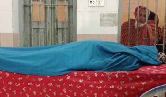 মেলান্দহে ভাইয়ের হাতে ভাই খুন