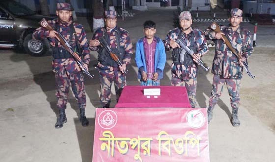 পোরশায় ট্যাপেন্টাডাল ট্যাবলেটসহ মাদক ব্যবসায়ী আটক