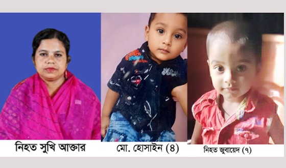 হোমনায় জবাই করে দুই শিশুসহ নারীকে জবাই করে হত্যা