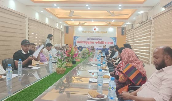 সেনবাগে মাতৃভাষা দিবসের প্রস্তুতি সভা