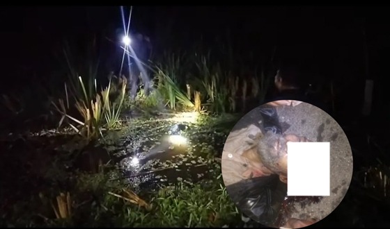 বরিশালে বিএনপি কর্মীকে কুপিয়ে হত্যা