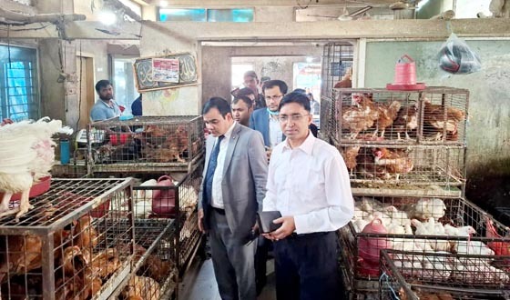 মুল্য নিয়ন্ত্রণে বাজার মনিটরিং জেলা প্রশাসকের