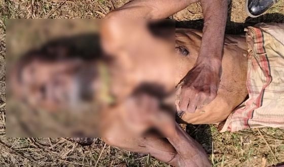 পোরশায় অজ্ঞাত ব্যক্তির লাশ উদ্ধার