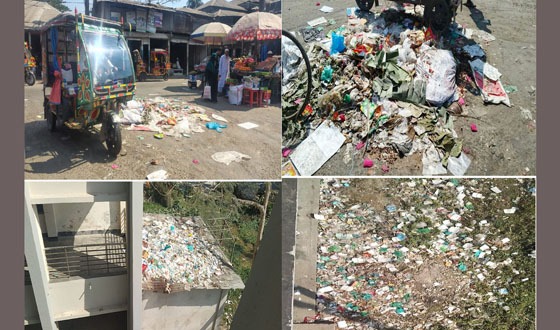 লালমোহনে সড়কগুলো যেন ময়লা ভাগাড়, দুর্ভোগে পথচারীরা