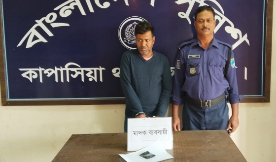 কাপাসিয়ায় ৫২ পিস ইয়াবাবড়িসহ মাদক গ্রেফতার ১