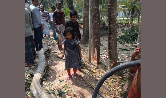 ইন্দুরকানীতে সরকারি রাস্তার পাশের গাছ কেটে নেওয়ার চেষ্টা