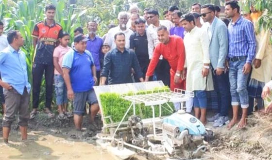 গাবতলীতে যান্ত্রিক পদ্ধতিতে ধানের চারা রোপন