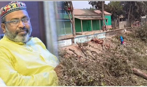 বাঁধের গাছ কেটে দেওয়ার অভিযোগে বিএনপির সকল পদ স্থগিত