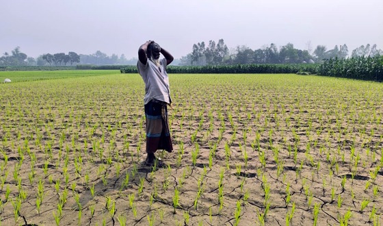চাঁদার দাবিতে তিন সেচ পাম্পের বিদ্যুৎ সংযোগ বিচ্ছিন্ন
