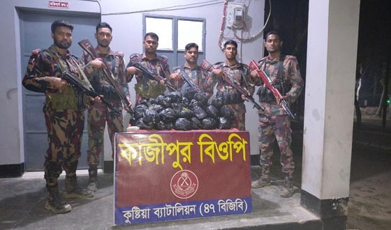 দৌলতপুর সীমান্তে ভারতীয় চকলেট বাজি ও মাদকদ্রব্য উদ্ধার