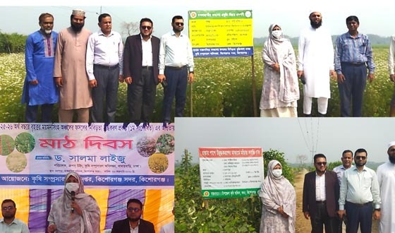 কিশোরগঞ্জ কৃষিতে সফলতার ধারায় এগিয়ে চলেছে