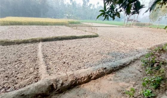 সেচের পানি না দেয়ায় ইরি-বোরা আবাদ করতে পারেনি কৃষক