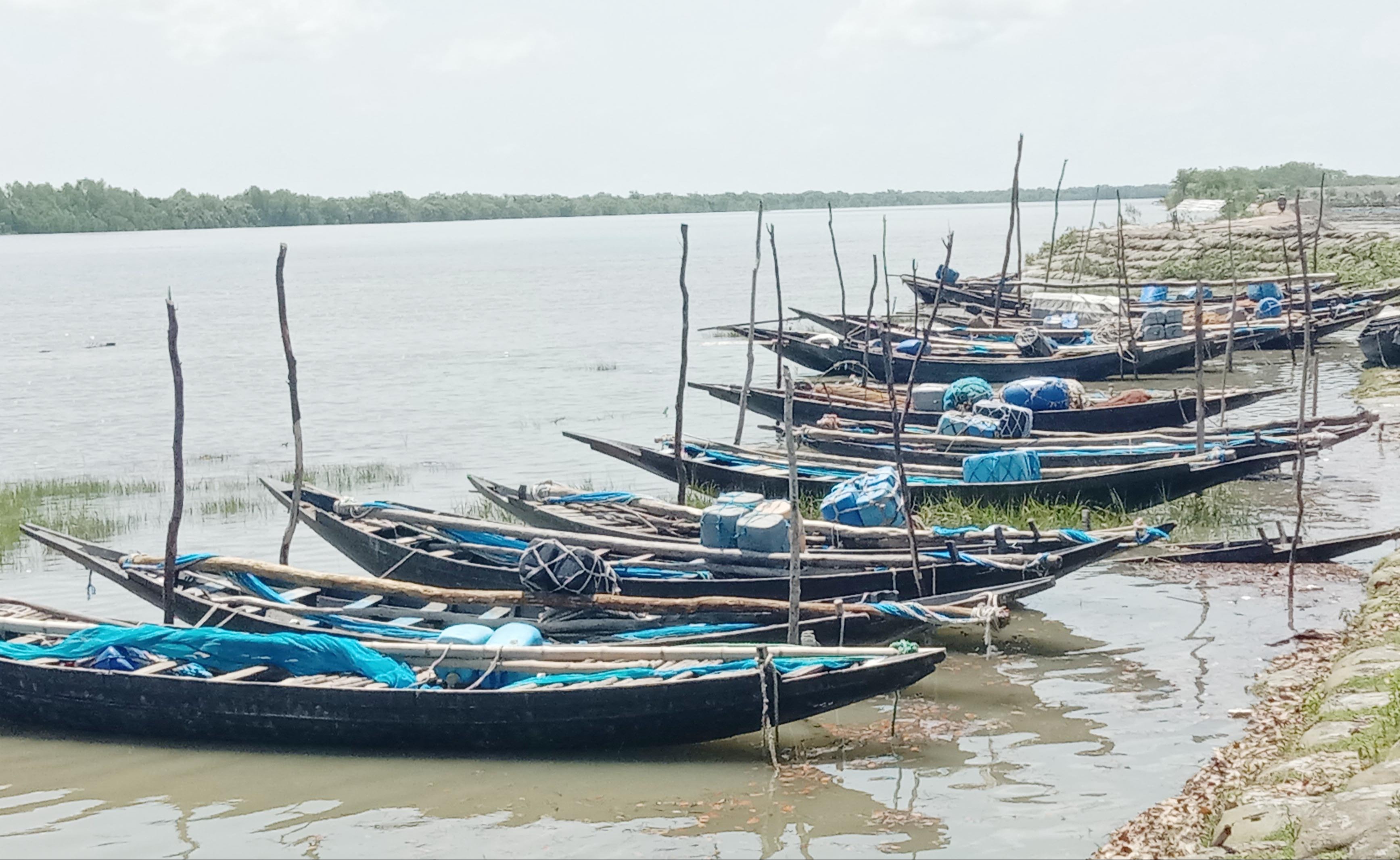 সুন্দরবনে কাঁকড়া ধরায় ২ মাসের নিষেধাজ্ঞা