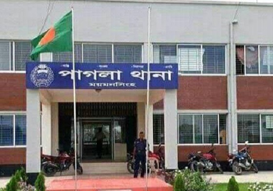 গফরগাঁওয়ে এক রাতে কৃষকের পাঁচ গরু চুরি