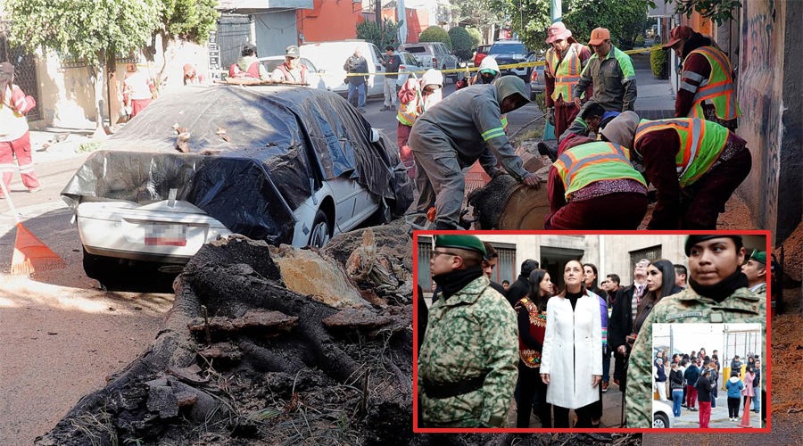 মেক্সিকোতে ৬.৫ মাত্রার ভূমিকম্প, ব্রিফিং ছাড়লেন প্রেসিডেন্ট