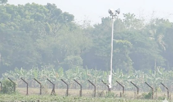 মহেশপুর সীমান্তে বিএসএফের গুলিতে এক দশকে নিহত ৩৬ বাংলাদেশি