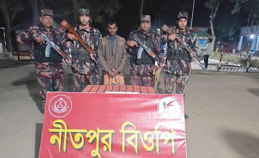 পোরশা সীমান্তে ট্যাপেন্টাডল ট্যাবলেটসহ মাদক ব্যবসায়ী আটক