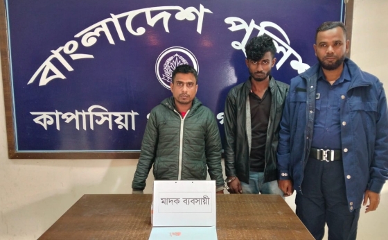 কাপাসিয়ায় পৃথক অভিযানে ইয়াবা সিন্ডিকেটের ৩ কারবারি গ্রেফতার