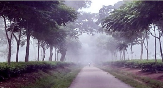 শ্রীমঙ্গলে সর্বনিম্ন তাপমাত্রা ৮.৬ ডিগ্রি