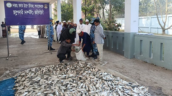 চাঁদপুরে লঞ্চ থেকে ৭ মেট্রিক টন জাটকা জব্দ